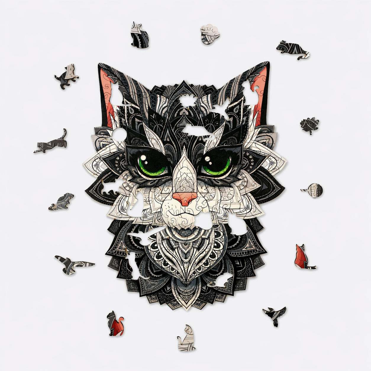 Curious Cat Puzzle